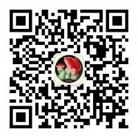 SUTONMETAL